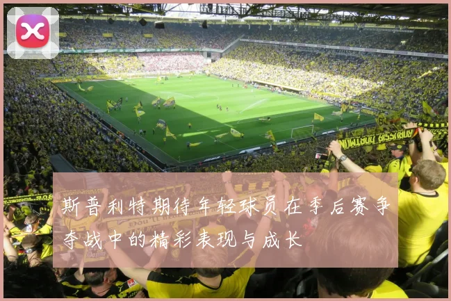 斯普利特期待年轻球员在季后赛争夺战中的精彩表现与成长