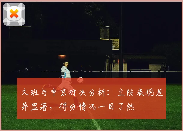 文班与申京对决分析：主防表现差异显著，得分情况一目了然