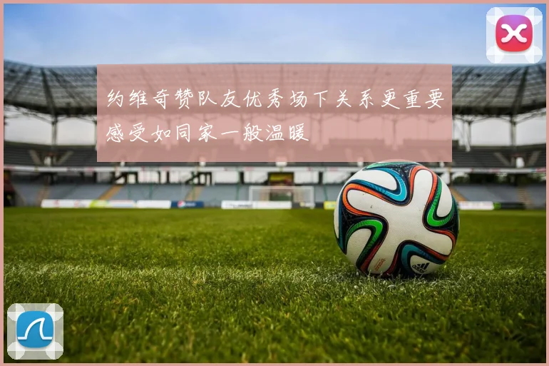 约维奇赞队友优秀场下关系更重要感受如同家一般温暖