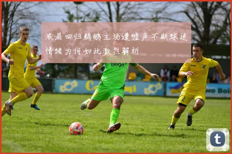 浓眉回归鹈鹕主场遭嘘声不断球迷情绪为何如此激烈解析