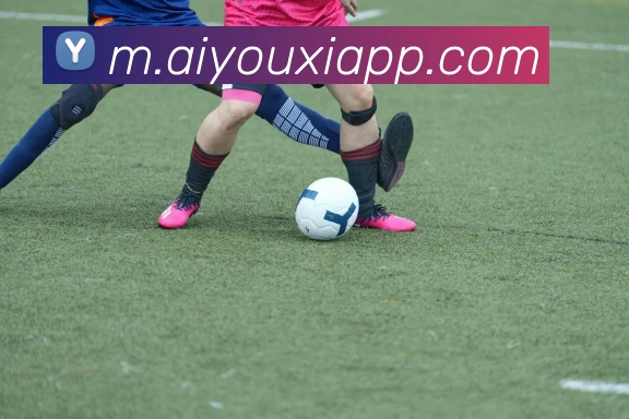 爱游戏体育平台生态图