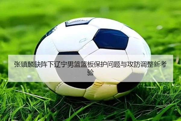 张镇麟缺阵下辽宁男篮篮板保护问题与攻防调整新考验 - ayx